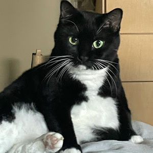 Meet your Posher, Hex